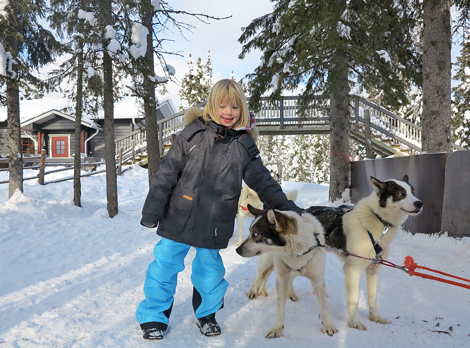 jonnalissjanis_hundspann - kidventure