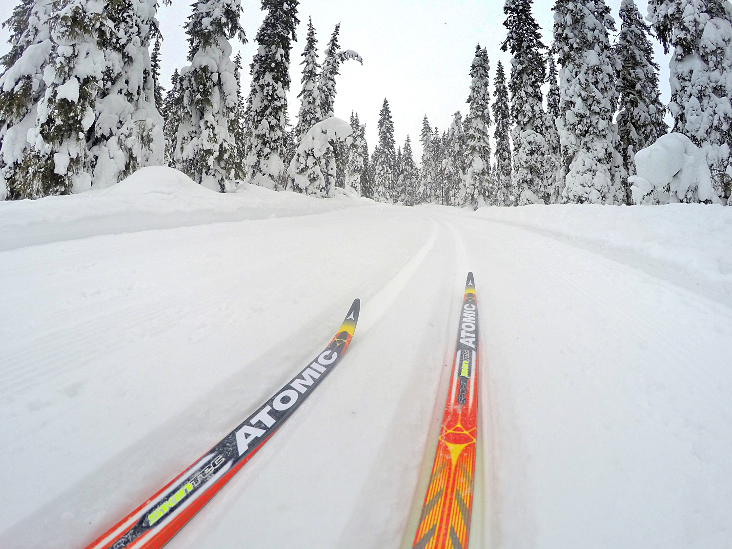 landskidor_hogfjallet - träningsplan