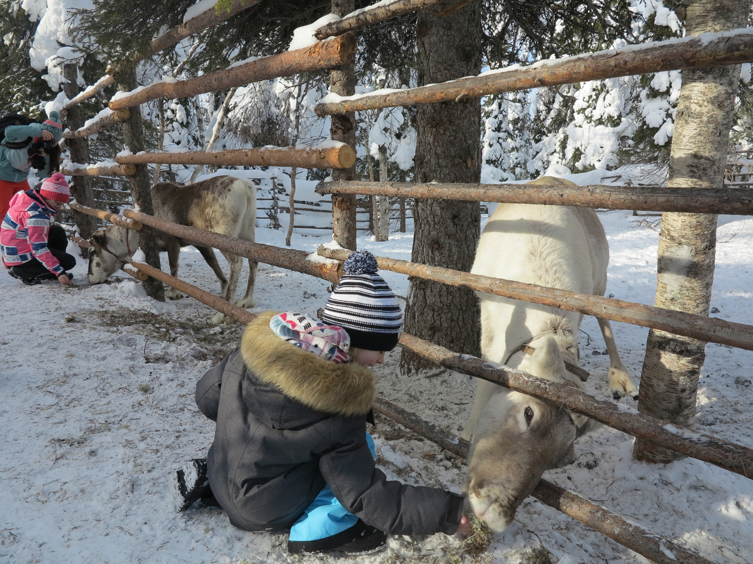 ren_jonna - kidventure