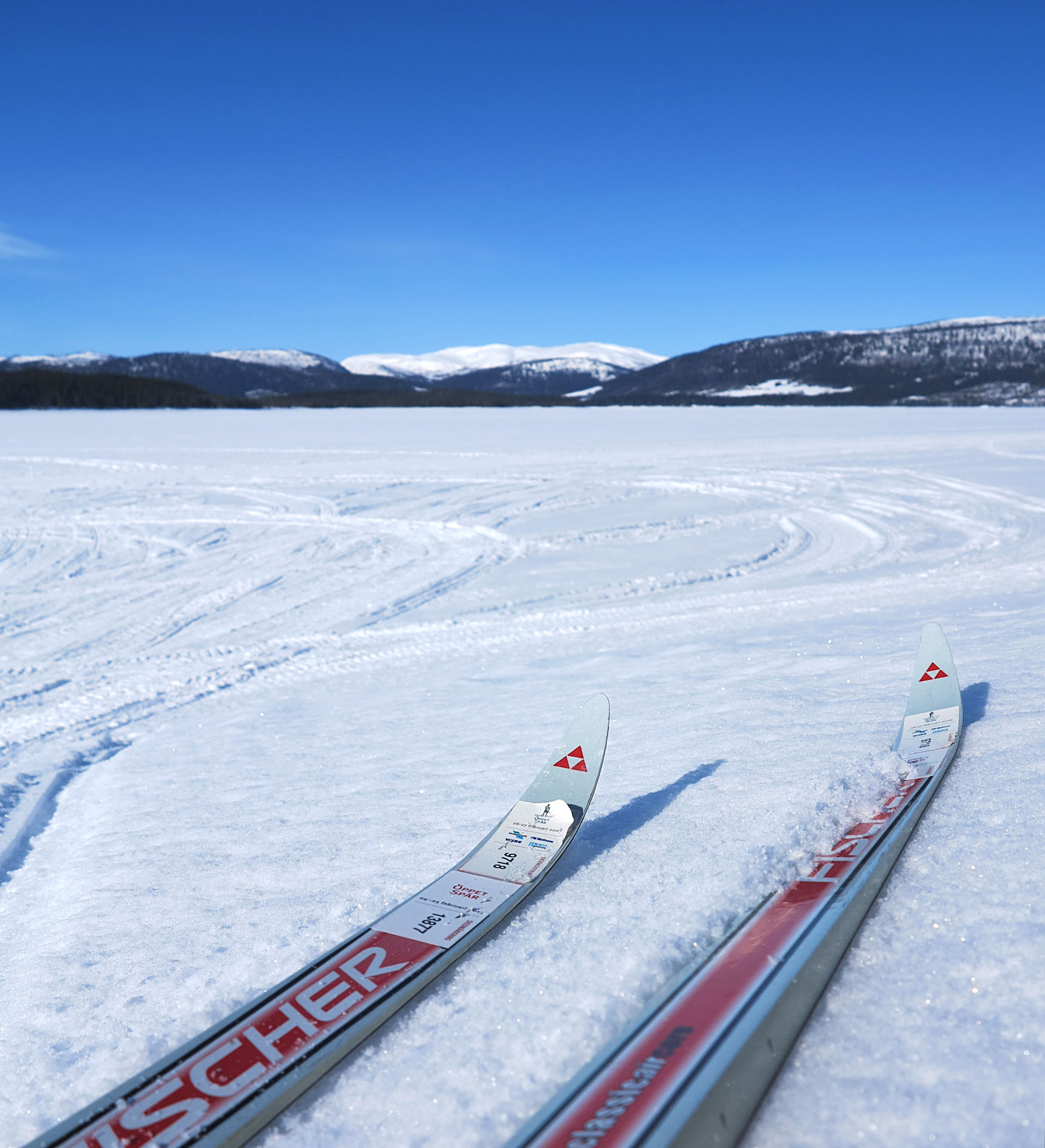 skejt_skidor_jorm_pask18 - jorm