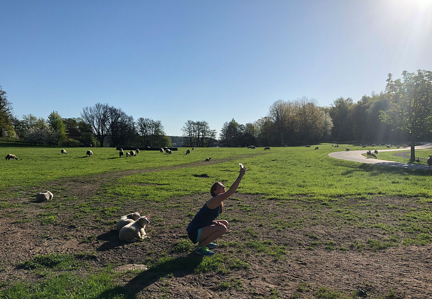 jennie_kungens_får - Stockholm Marathon