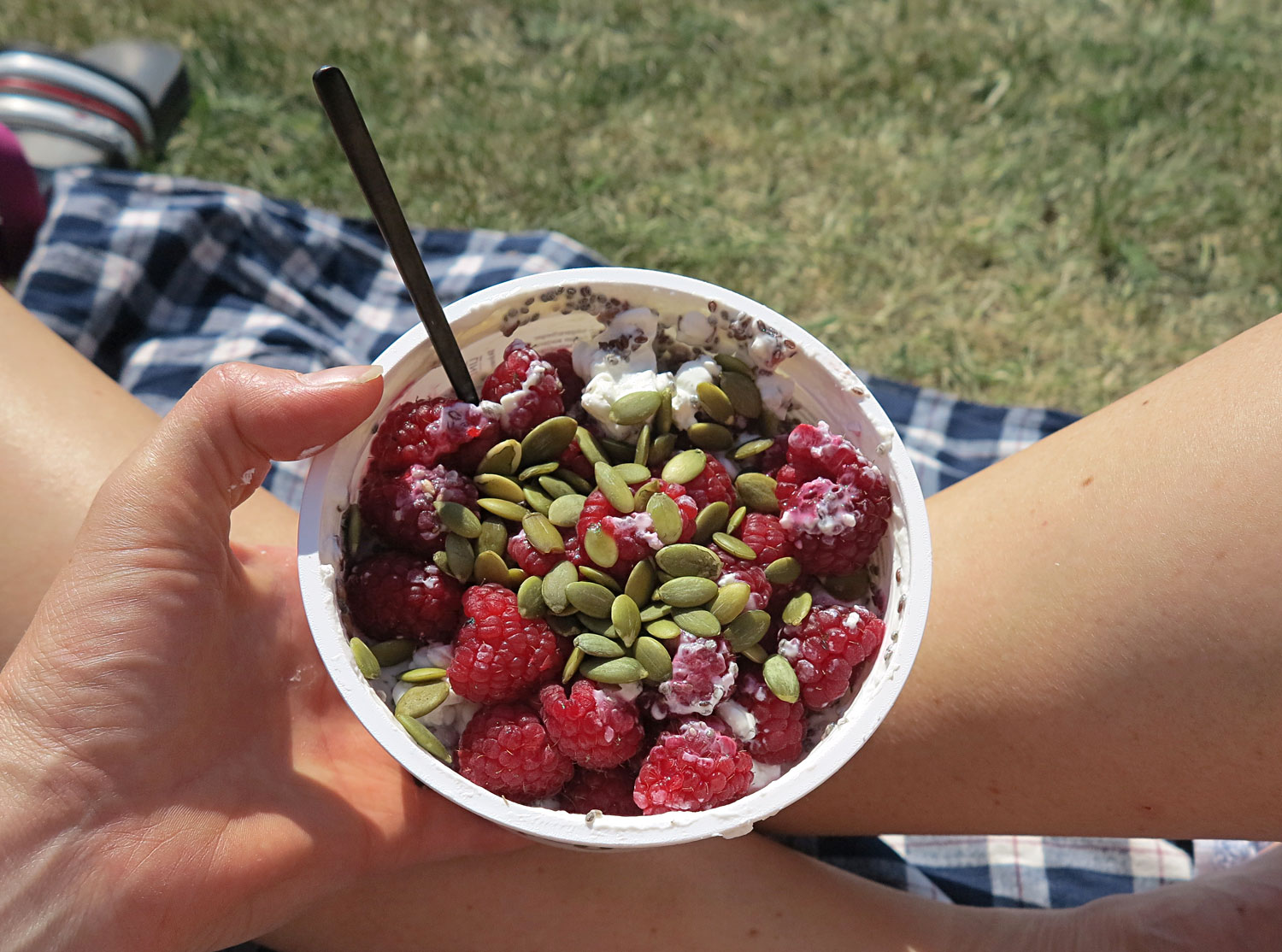 keso_hallon - sommarmat