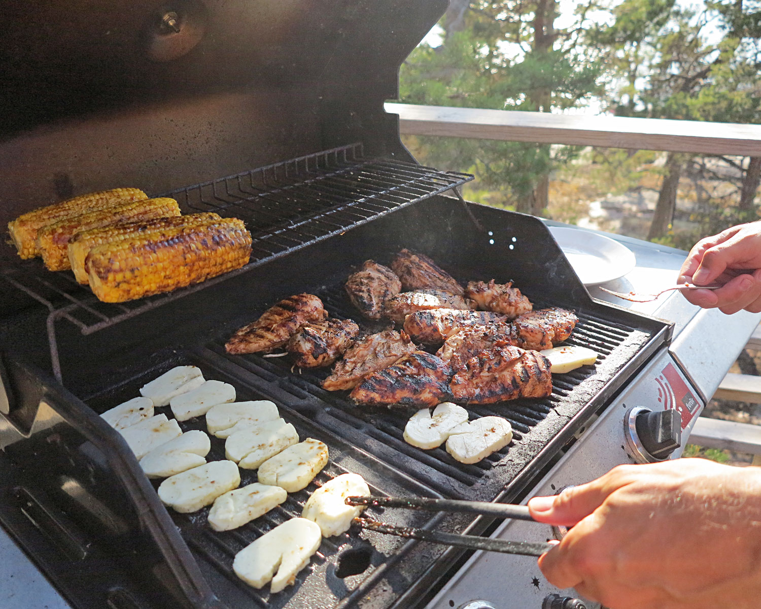 grillat_snacko - sant