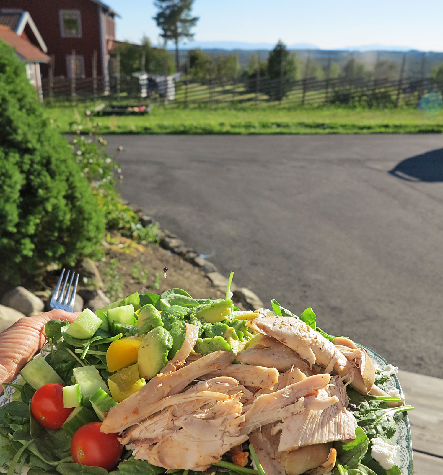 kycklingsallad_kannasen - sommarmat