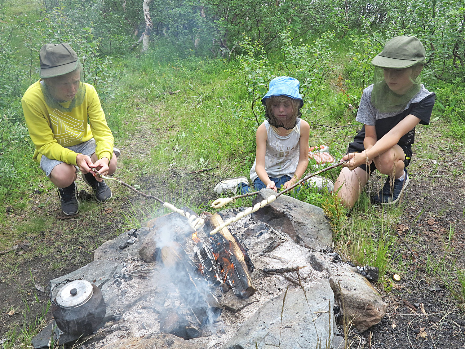 pinndeg_grillar - pinndeg