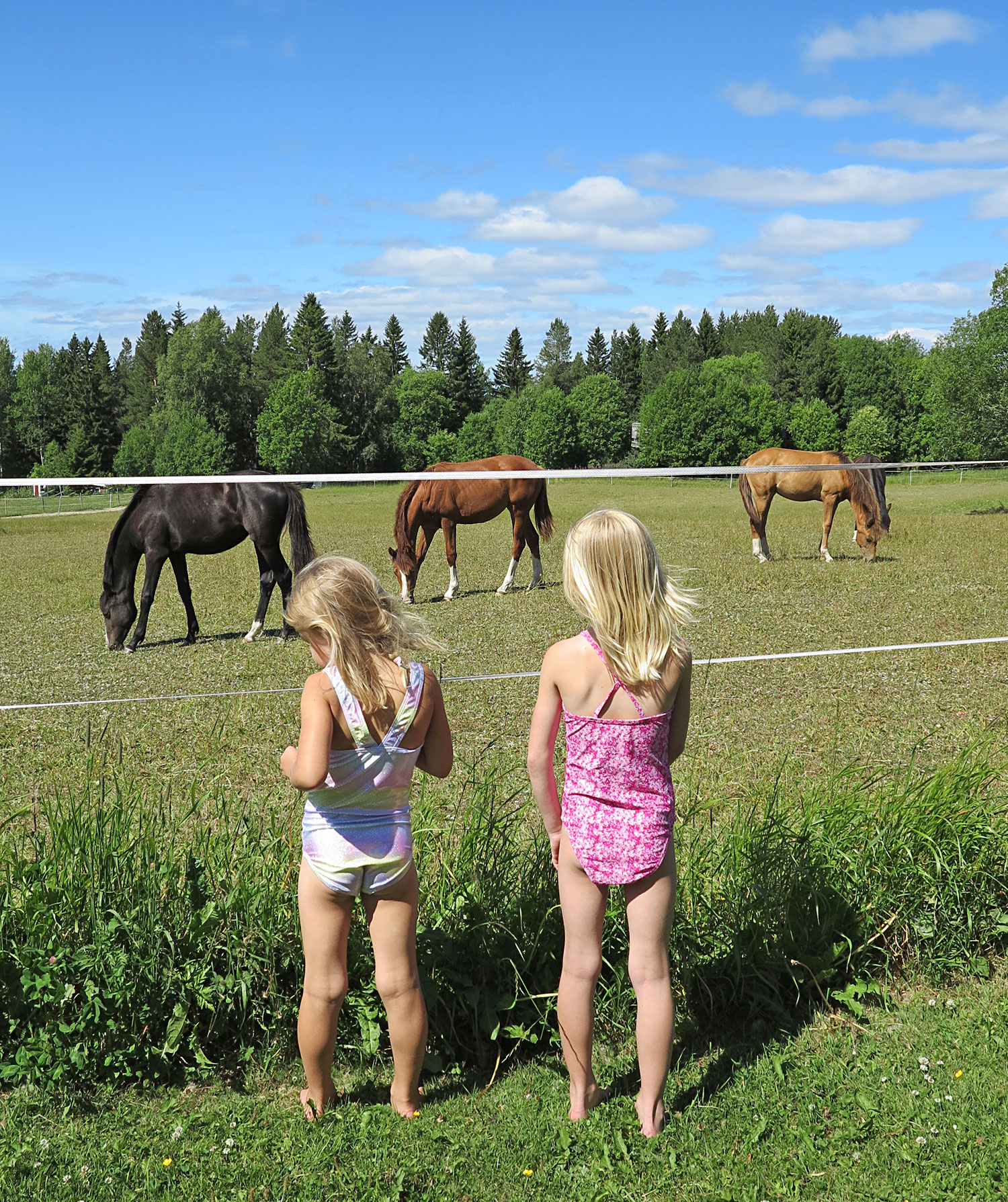 tjejer_hast_kannasen - chill