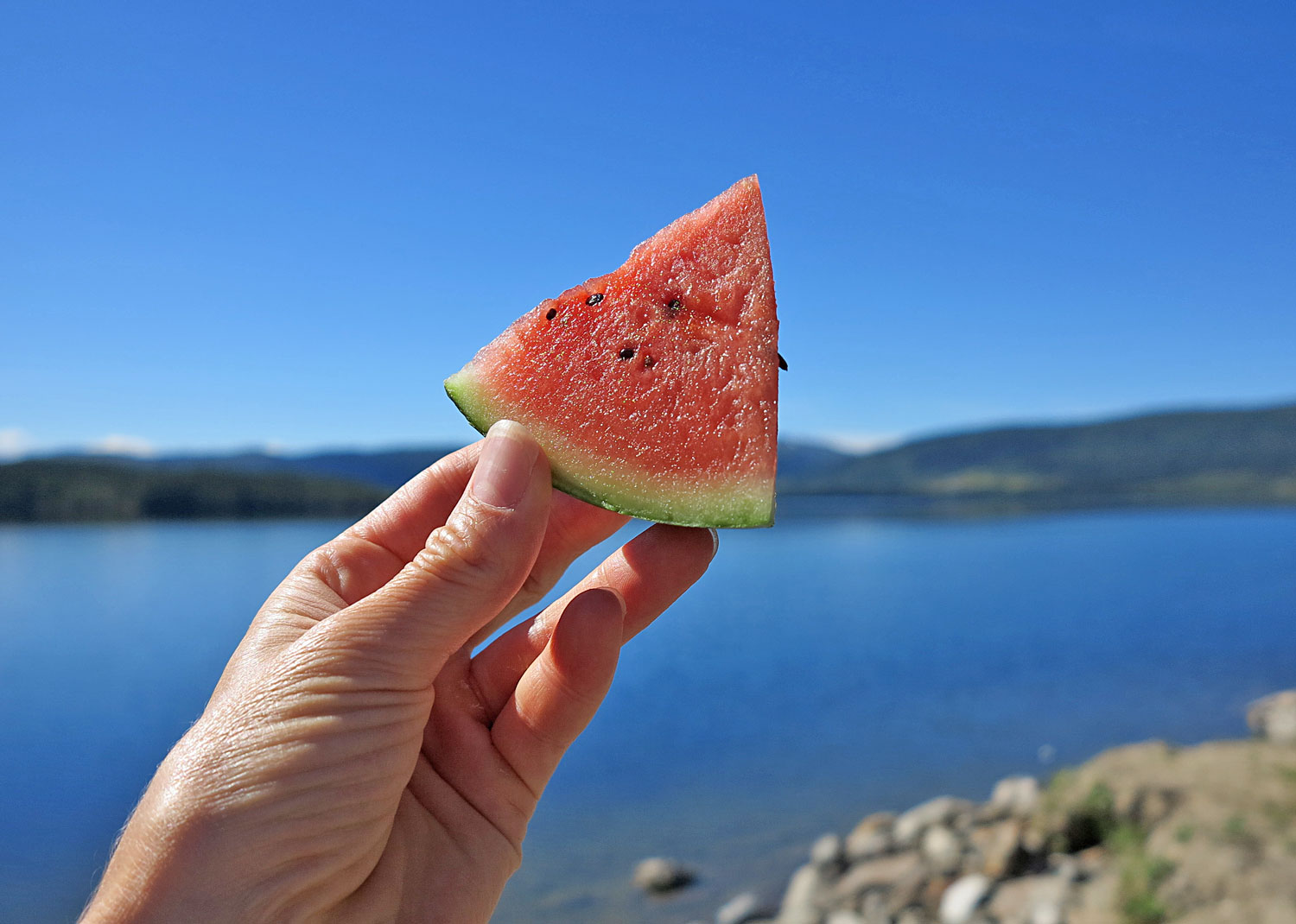 vattenmelon_jorm18 - godsaker