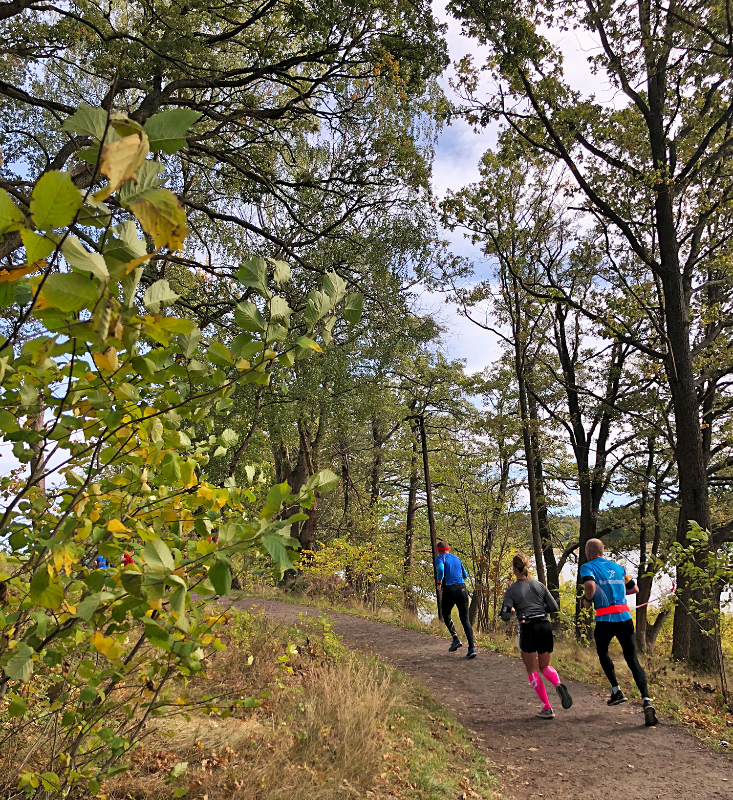 lidingoloppet2018_skog - lidingöloppet 2018
