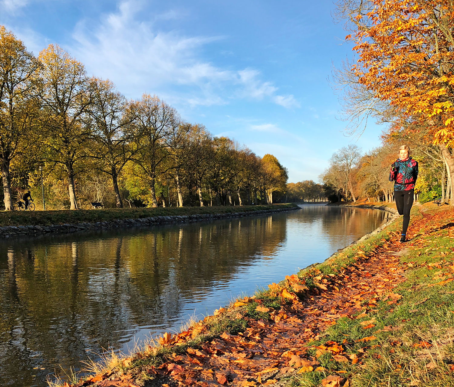 lop_djurgardskanalen_annalissjanis_host - vill