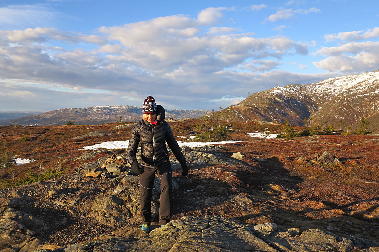 annalissjanis_totthummeln - totthummeln