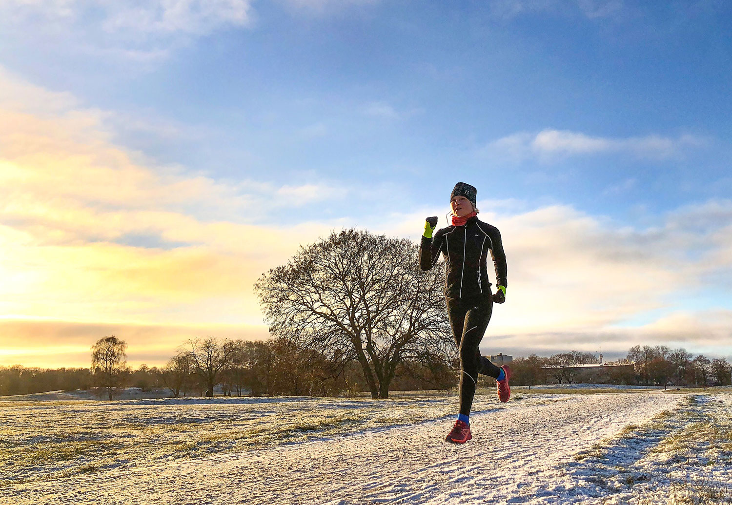 lop_gradet_nysno_annalissjanis - behov