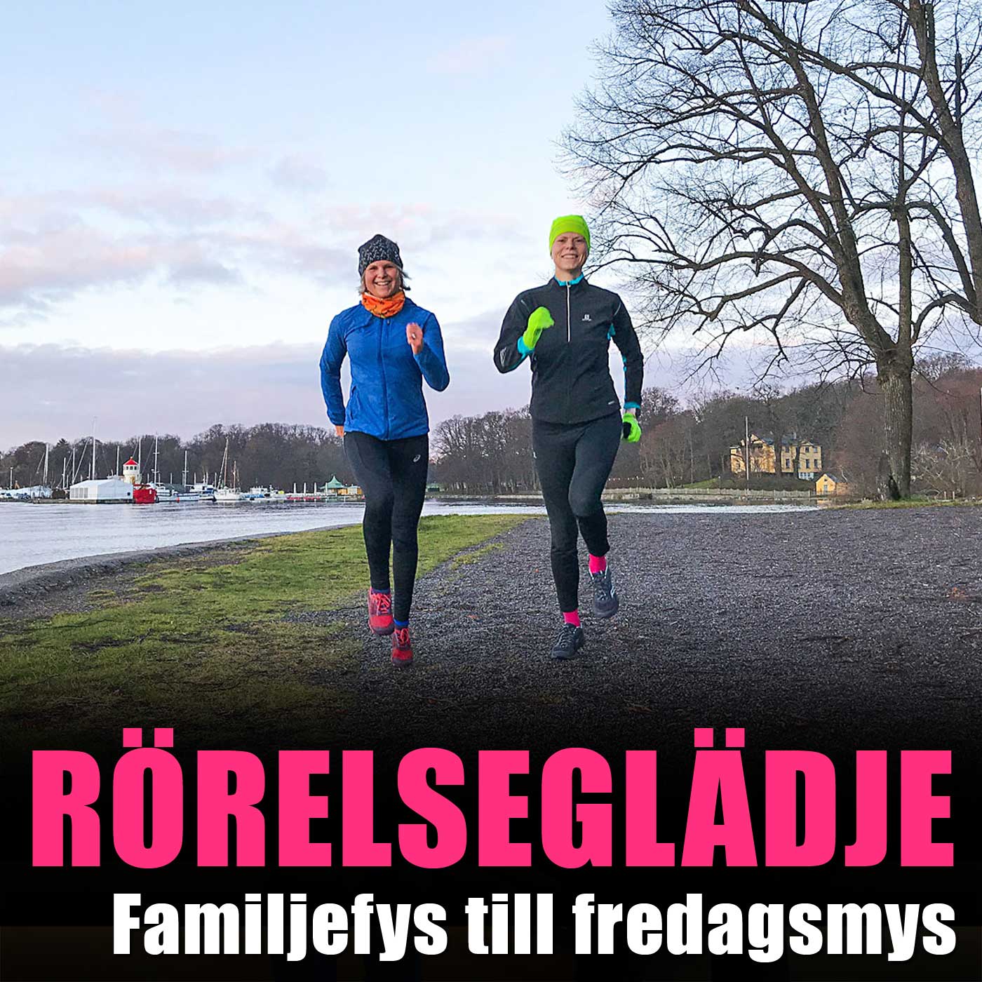 poddomslag19 - dåligt samvete