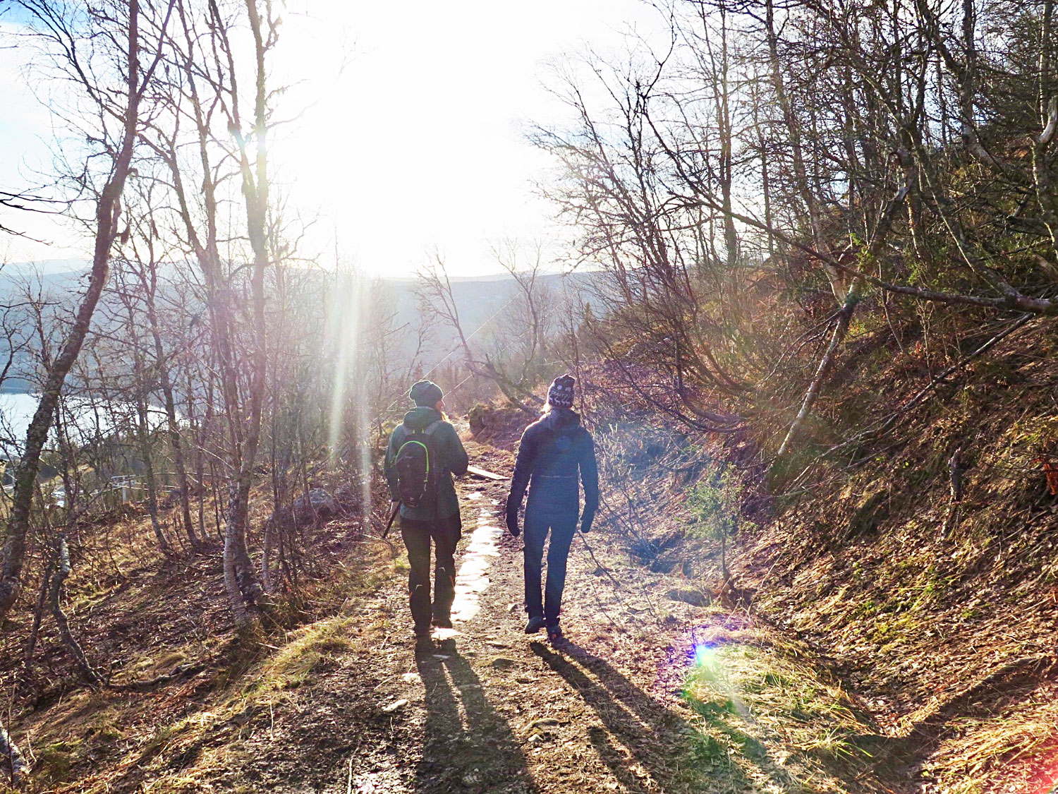 tottummeln_promenera - totthummeln