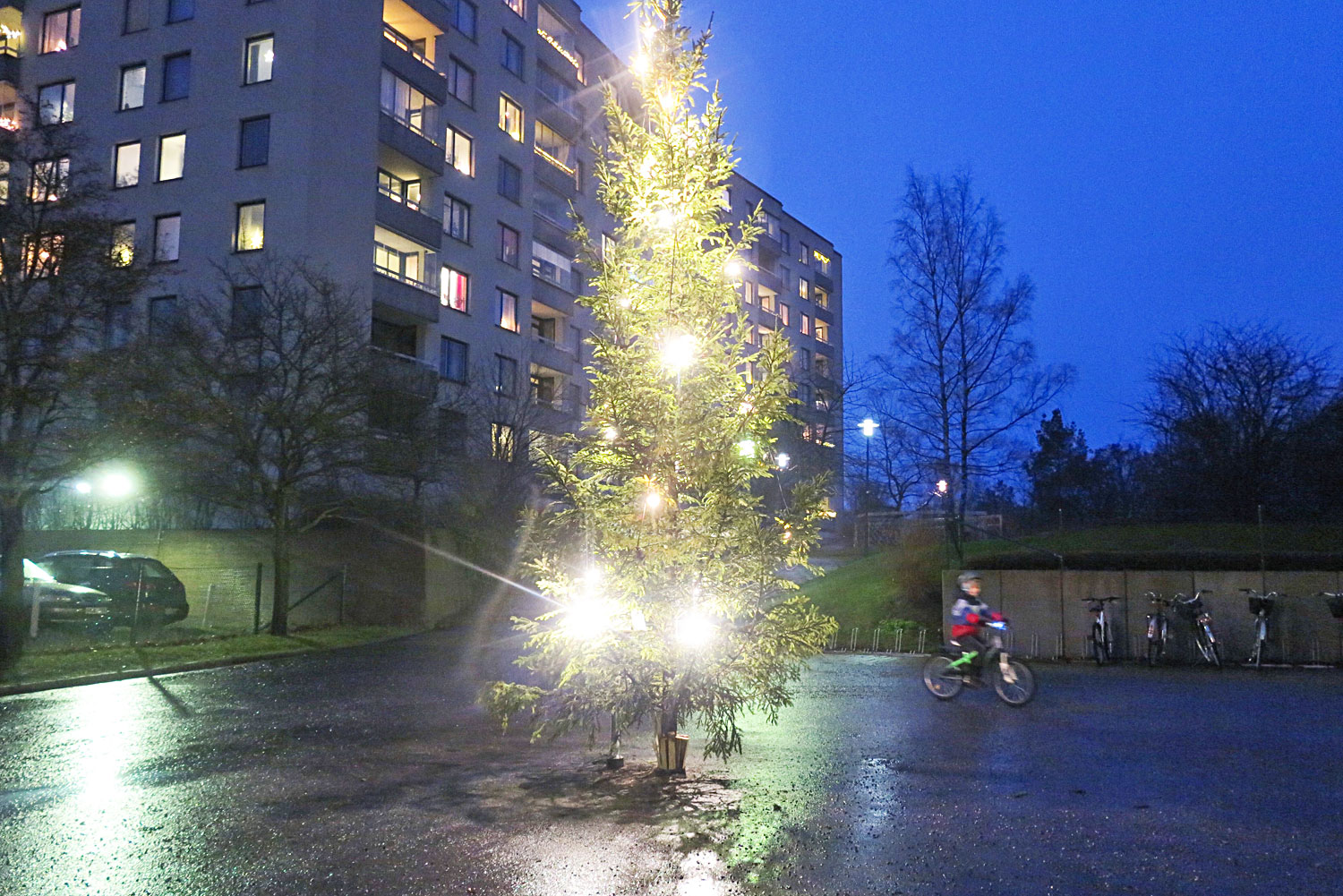 junior_cykel_julgran - jul på gärdet