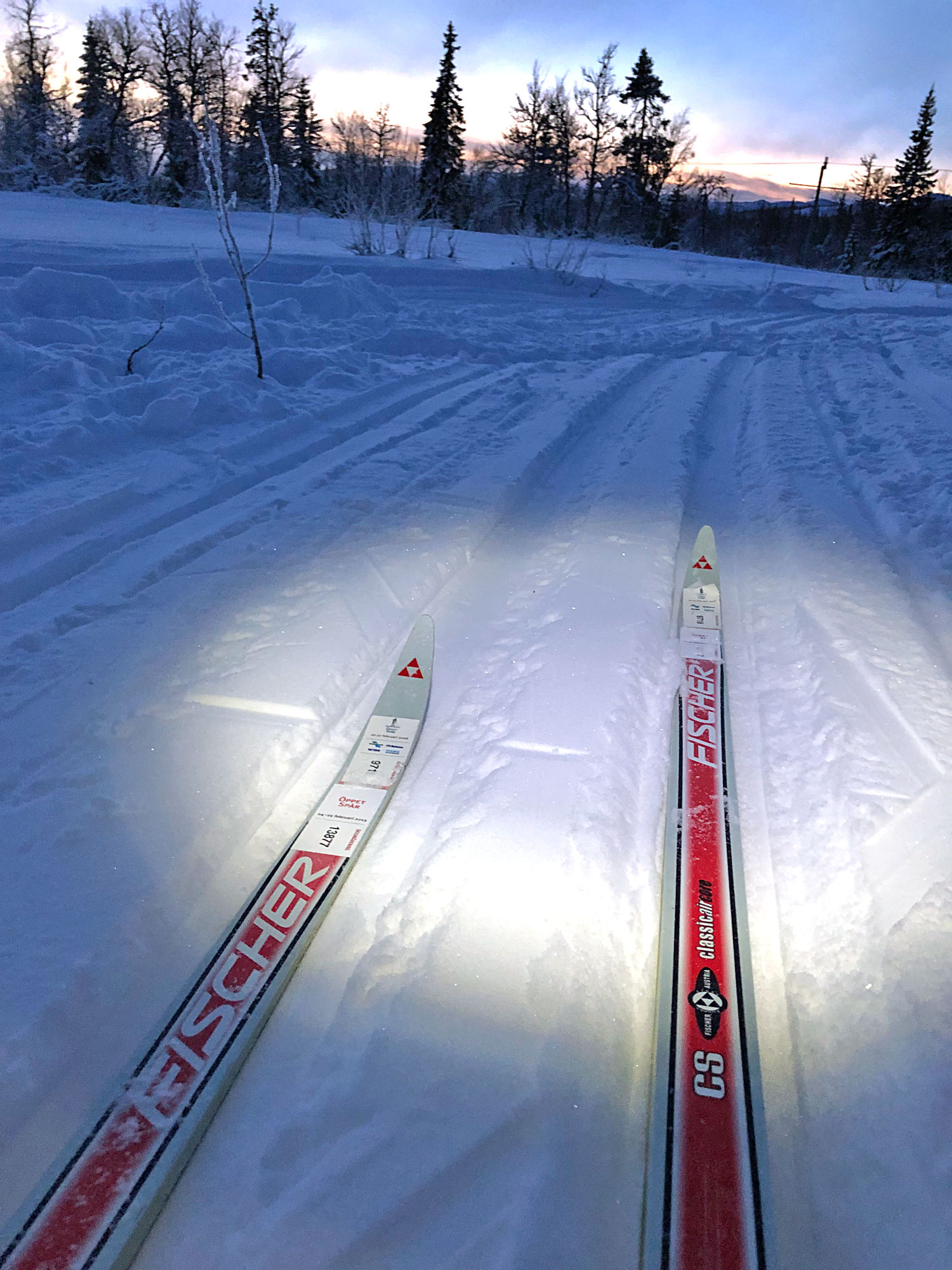 skidor_morker - mörkerträning