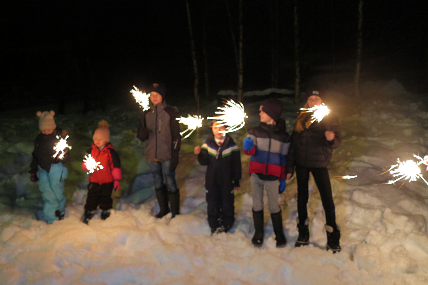 tomtebloss_nyarsafton2018 - nyårsafton 2018