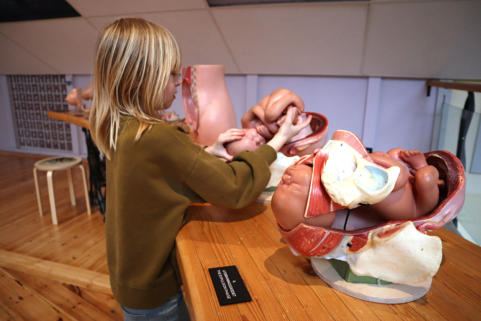 bebis_tomtits - tom tits