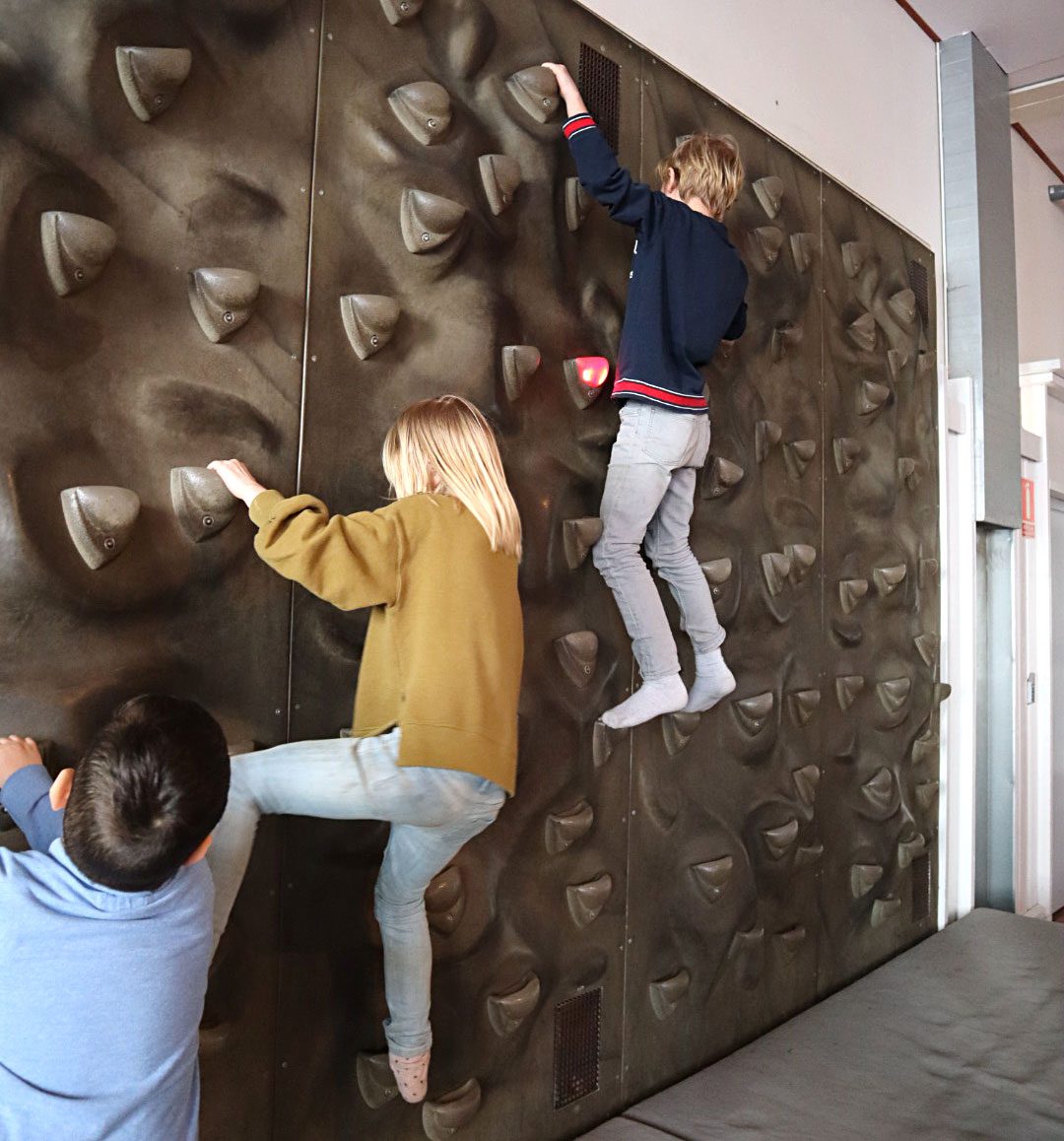 klattervagg_tomtits - tom tits