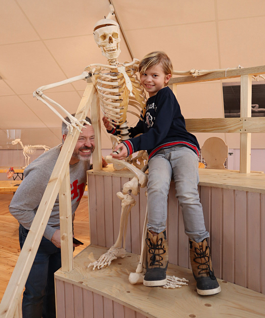 skelett_junior_tomtits - tom tits