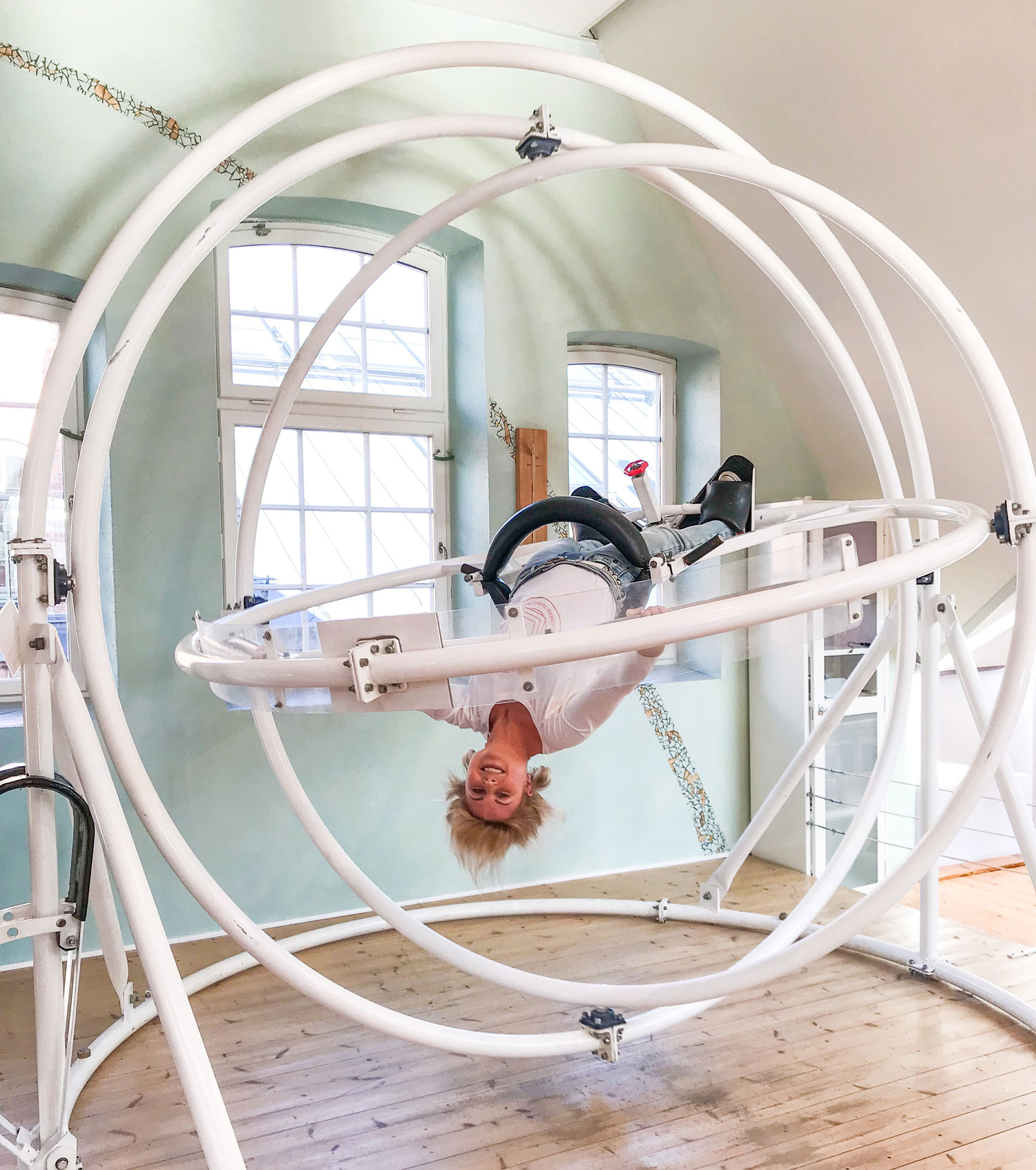 uppochner_tomtitts_annalissjanis - tom tits