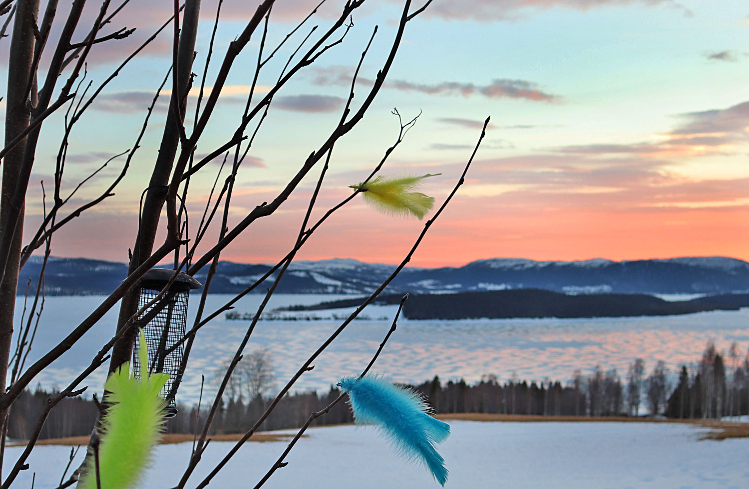 fjadrar_paskris_jorm19 - påsken 2019
