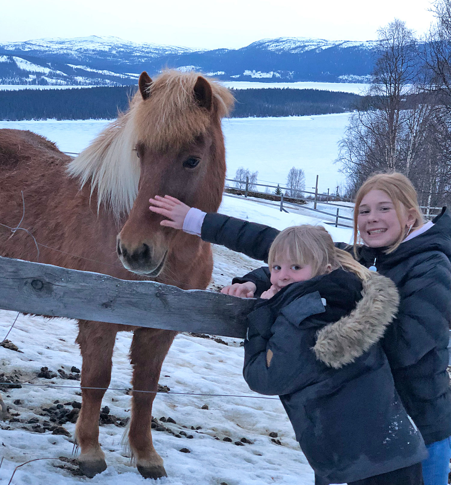 jonna_olivia_hast - påsken 2019