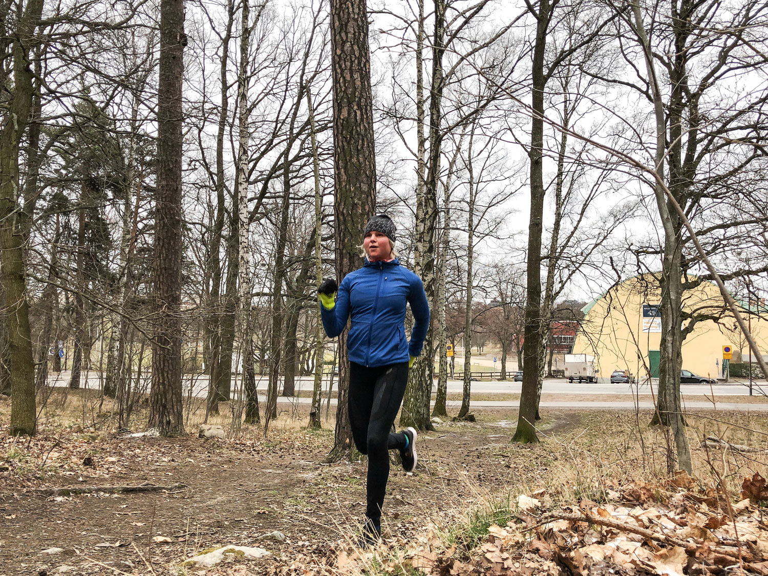 lop_liljan_var19 - siffror