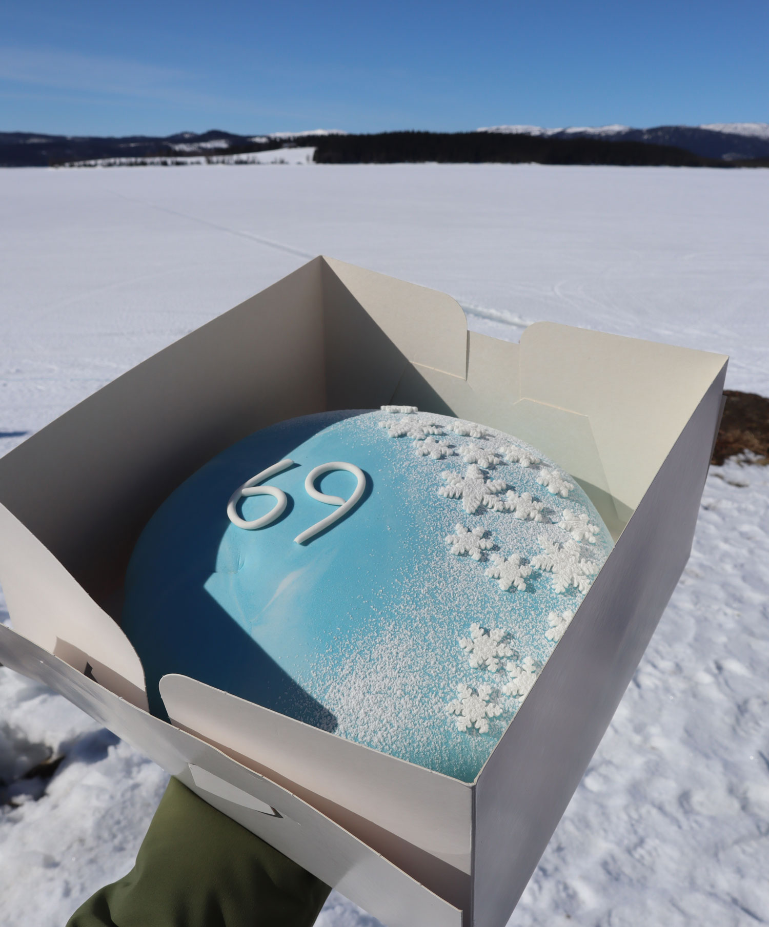 tarta_pappa69 - vårvinter