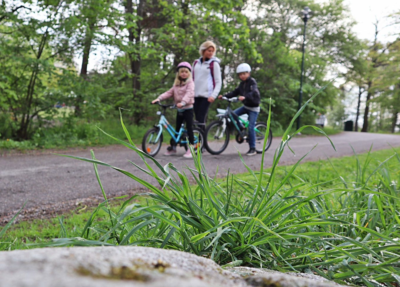 cykel_jj_annalissjanis_gras - mirakel