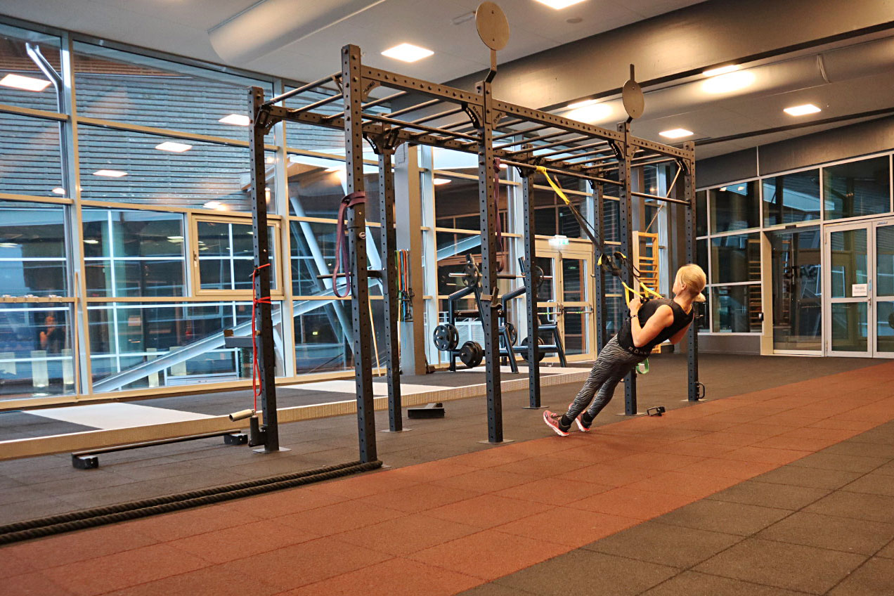 gym_rodd_sats_are_annalissjanis - träning för överkroppen
