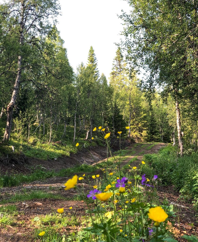 kvarntjärnsvägen jorm 