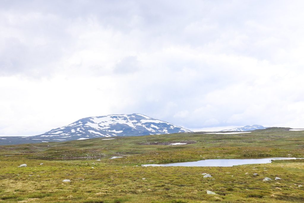 vildmarksvägen