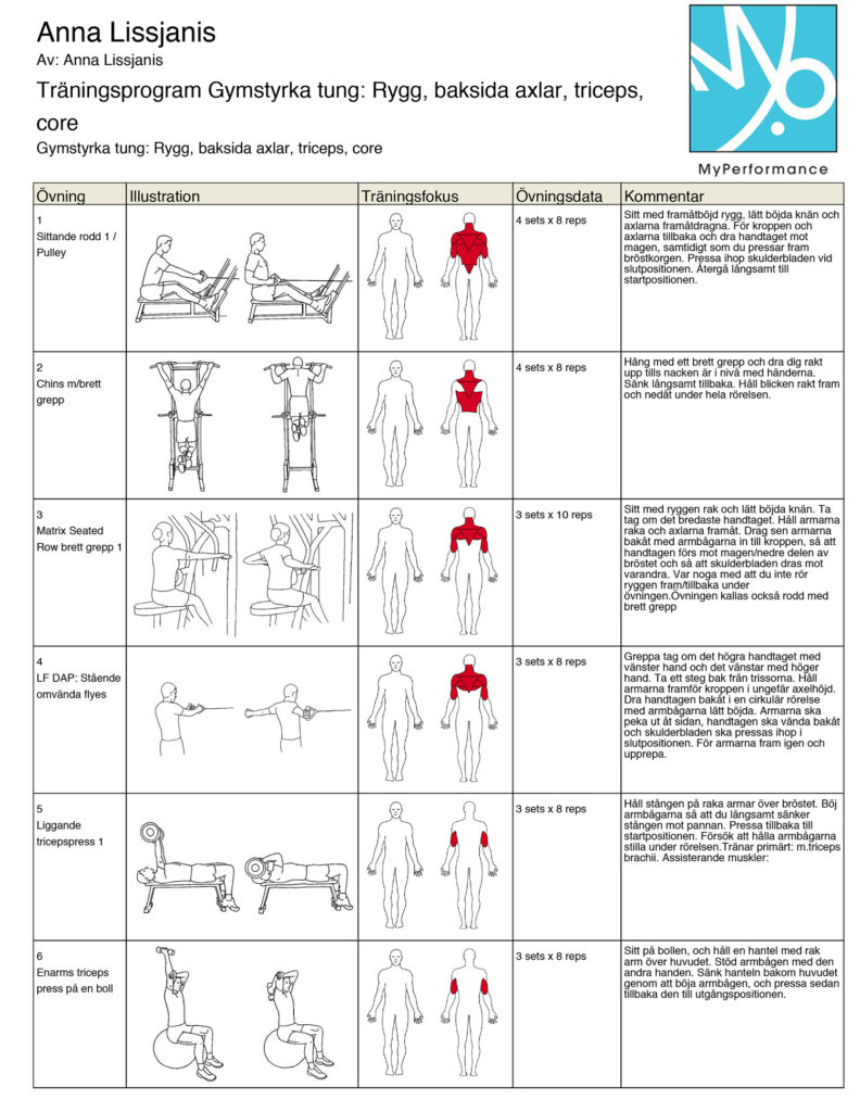 rygg_triceps_tung-1-1-792x1024 - 3-splitt