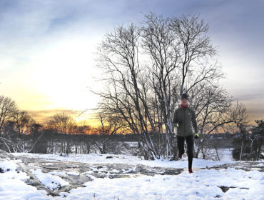 lop_vinter_gardet_annalissjanis_2019