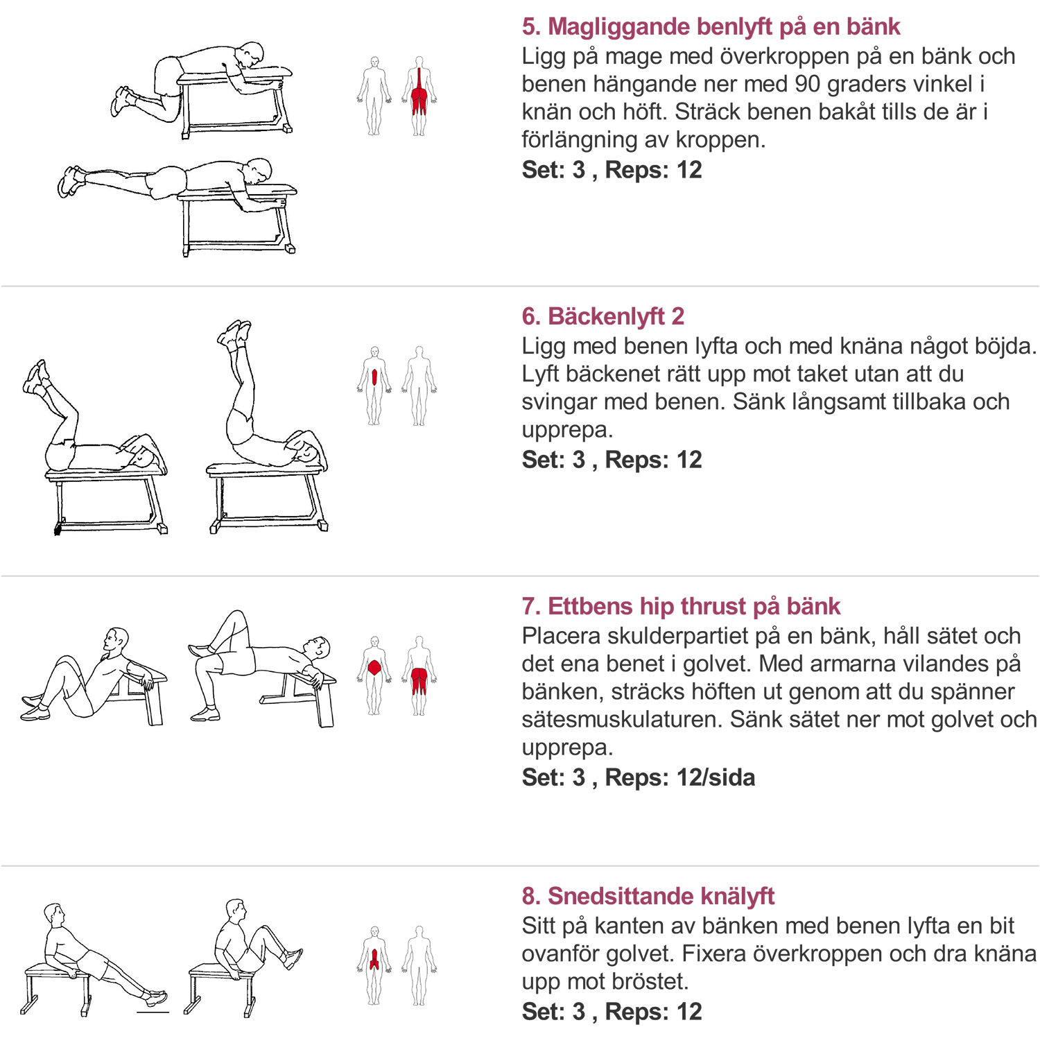 trainingsprogram_bank2 - övningar med en bänk