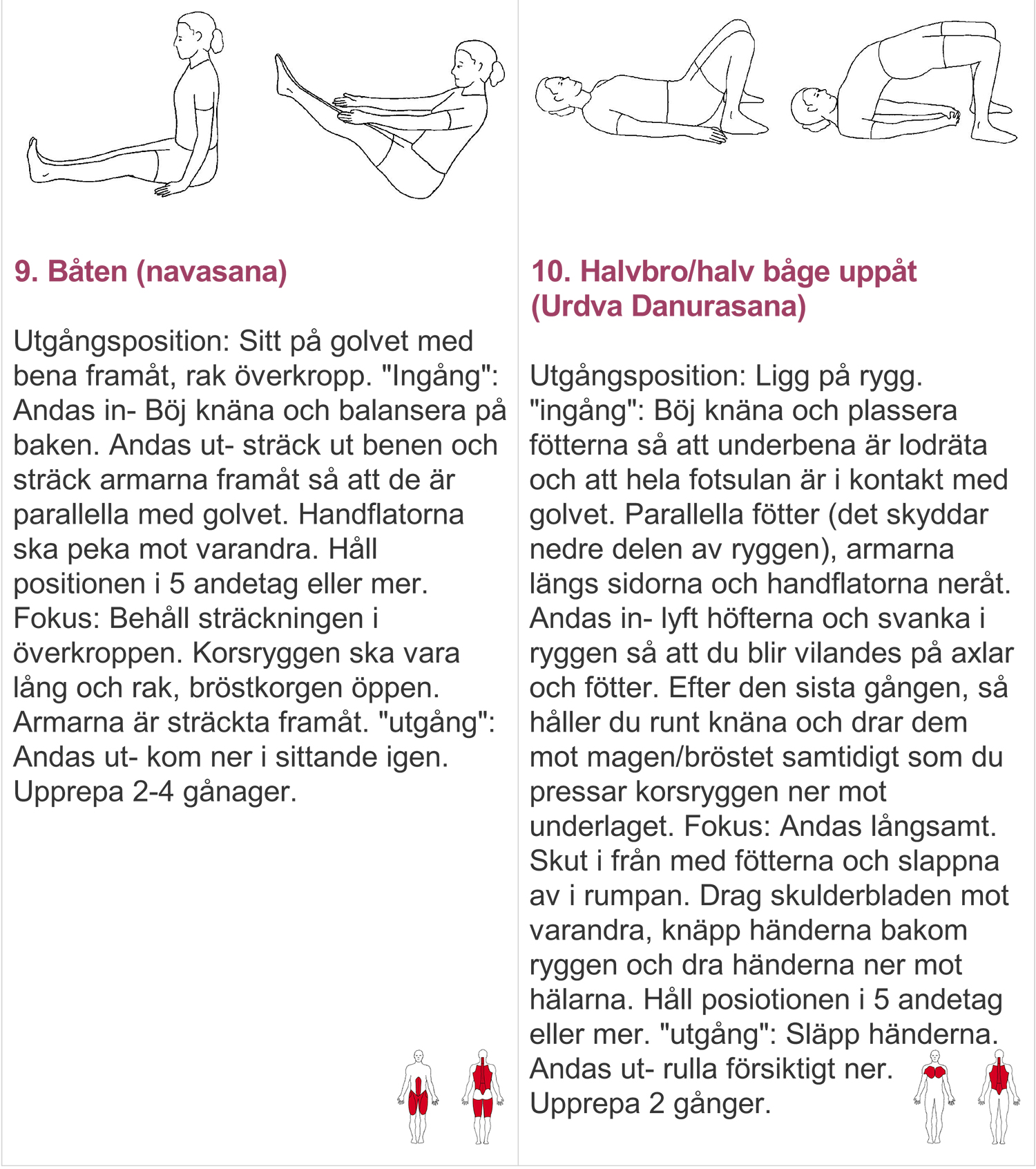 yogaprogram5 - yogaprogram