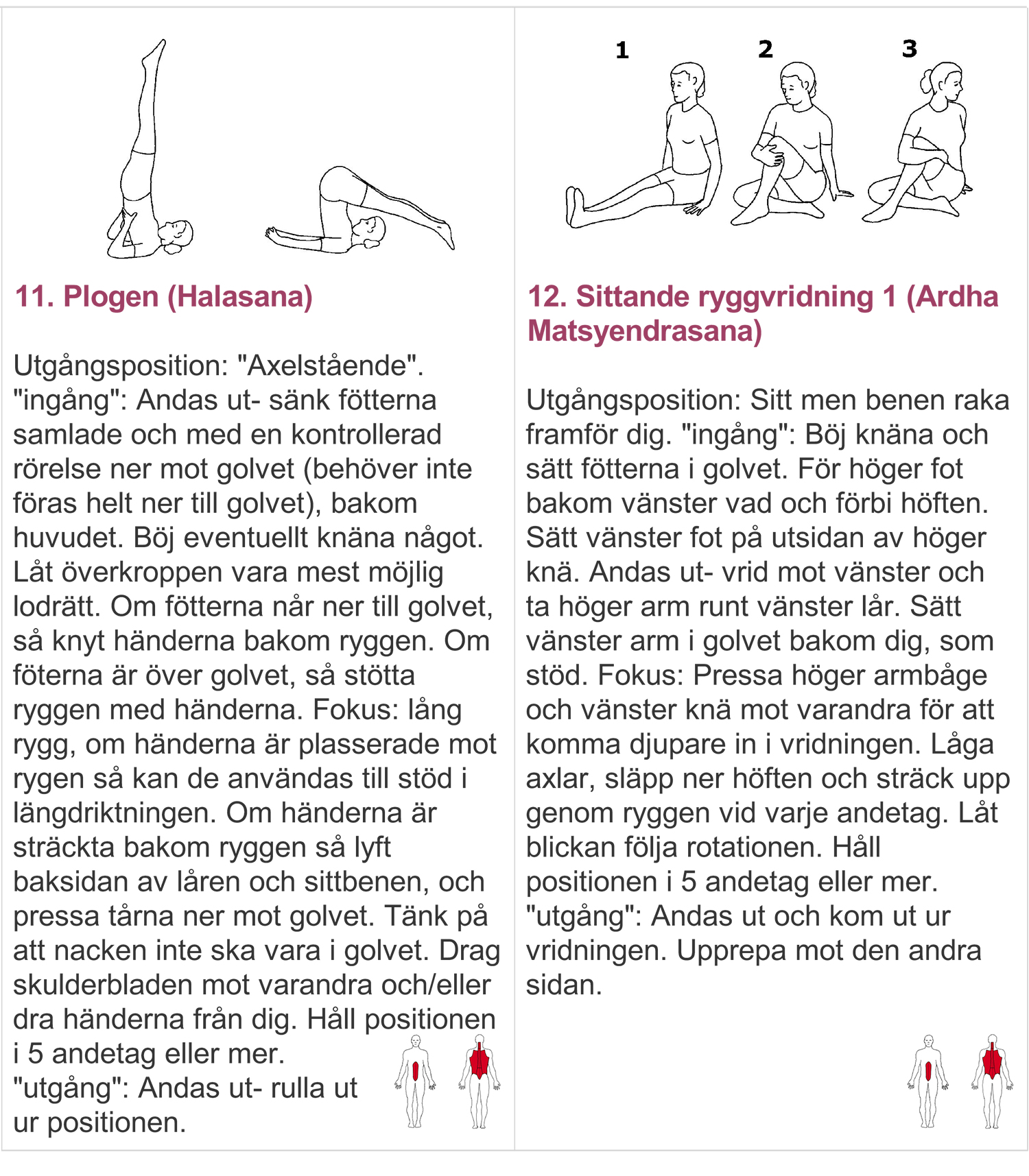 yogaprogram6 - yogaprogram