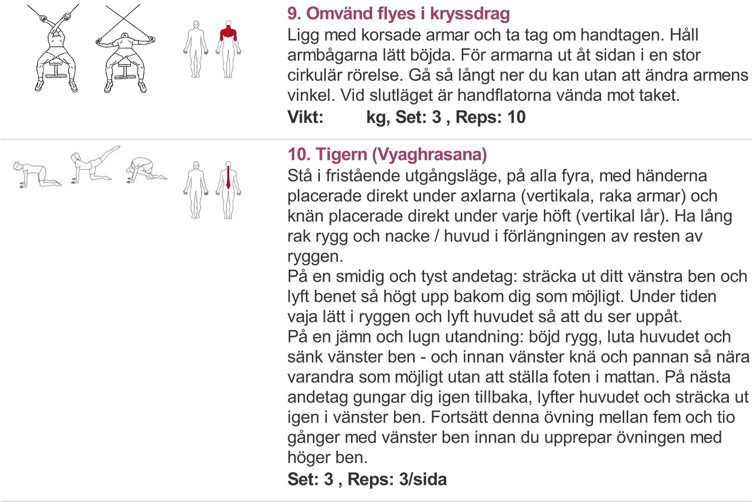 framsida överkropp
