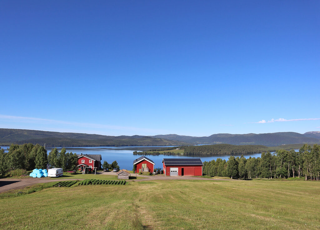 lassebacken_sommar-1024x736 - Jormsjön