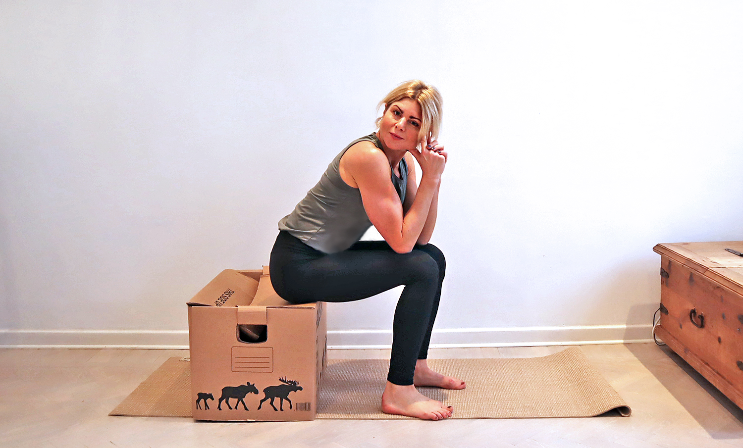 box_sitta_annaj - träna med en kartong