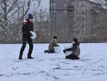 snogubbe_hjorthagen_annaj