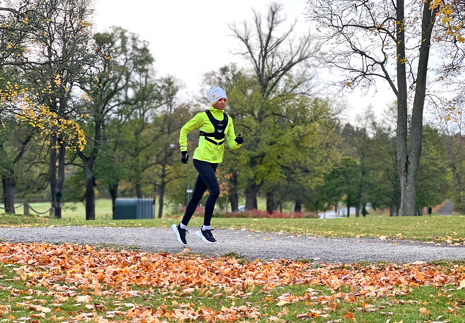 host_lop_vast_annaj - Spontan fest och jobbfokus – veckans vardagsrapport #30