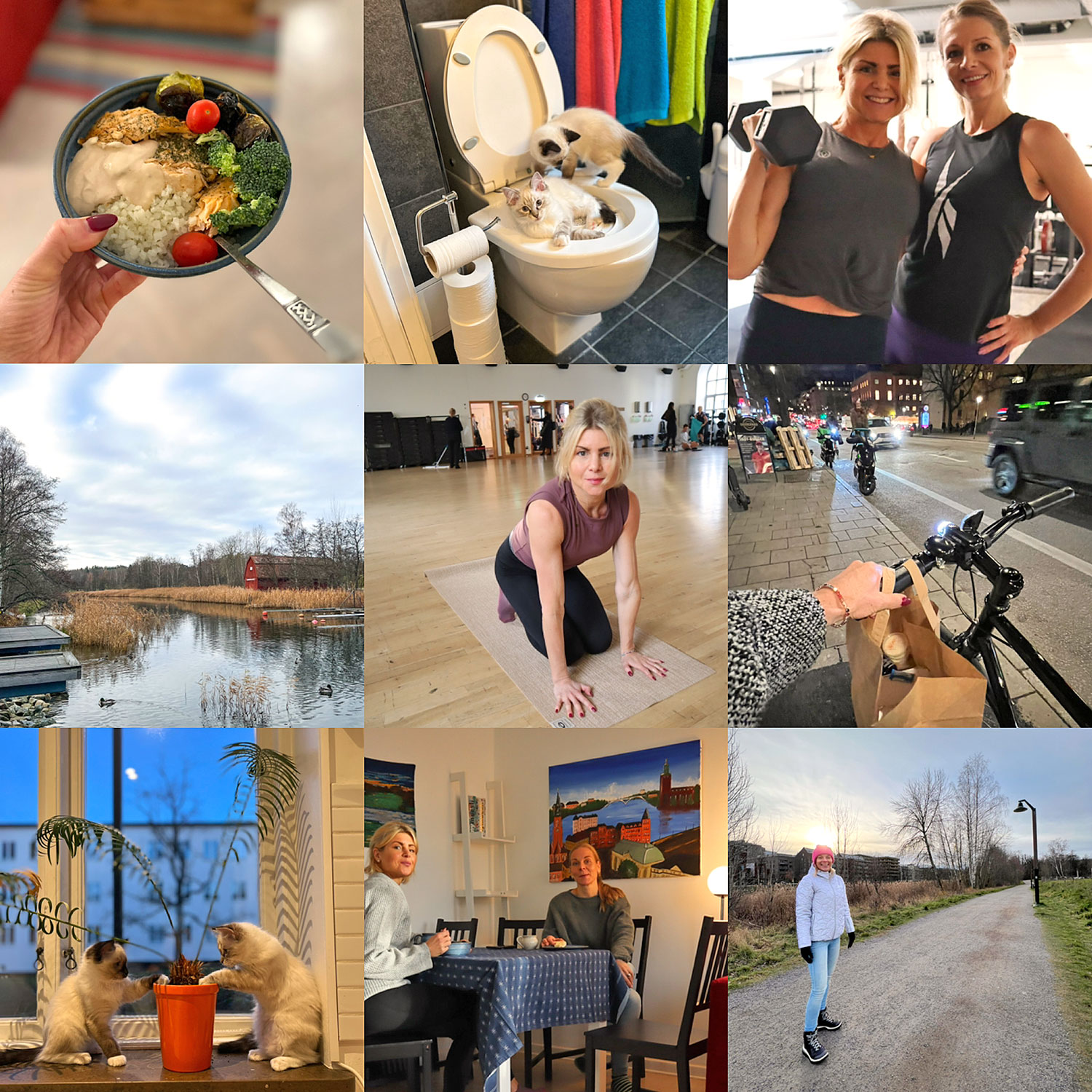 veckans34 - Tung styrka och små, stora glädjeämnen – veckans vardagsrapport #34