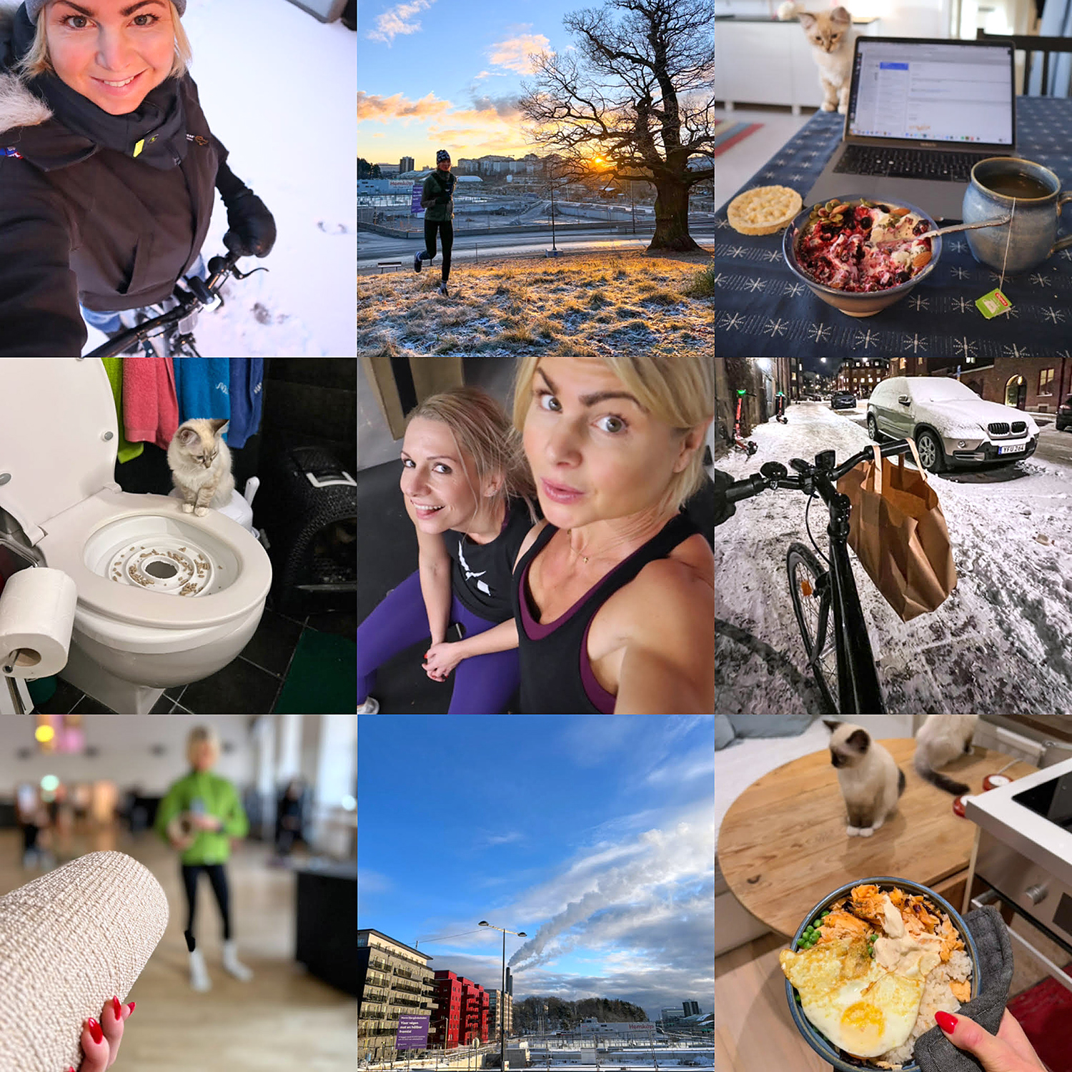 helgen36 - Krasch, tung styrka och lugn – veckans vardagsrapport #36