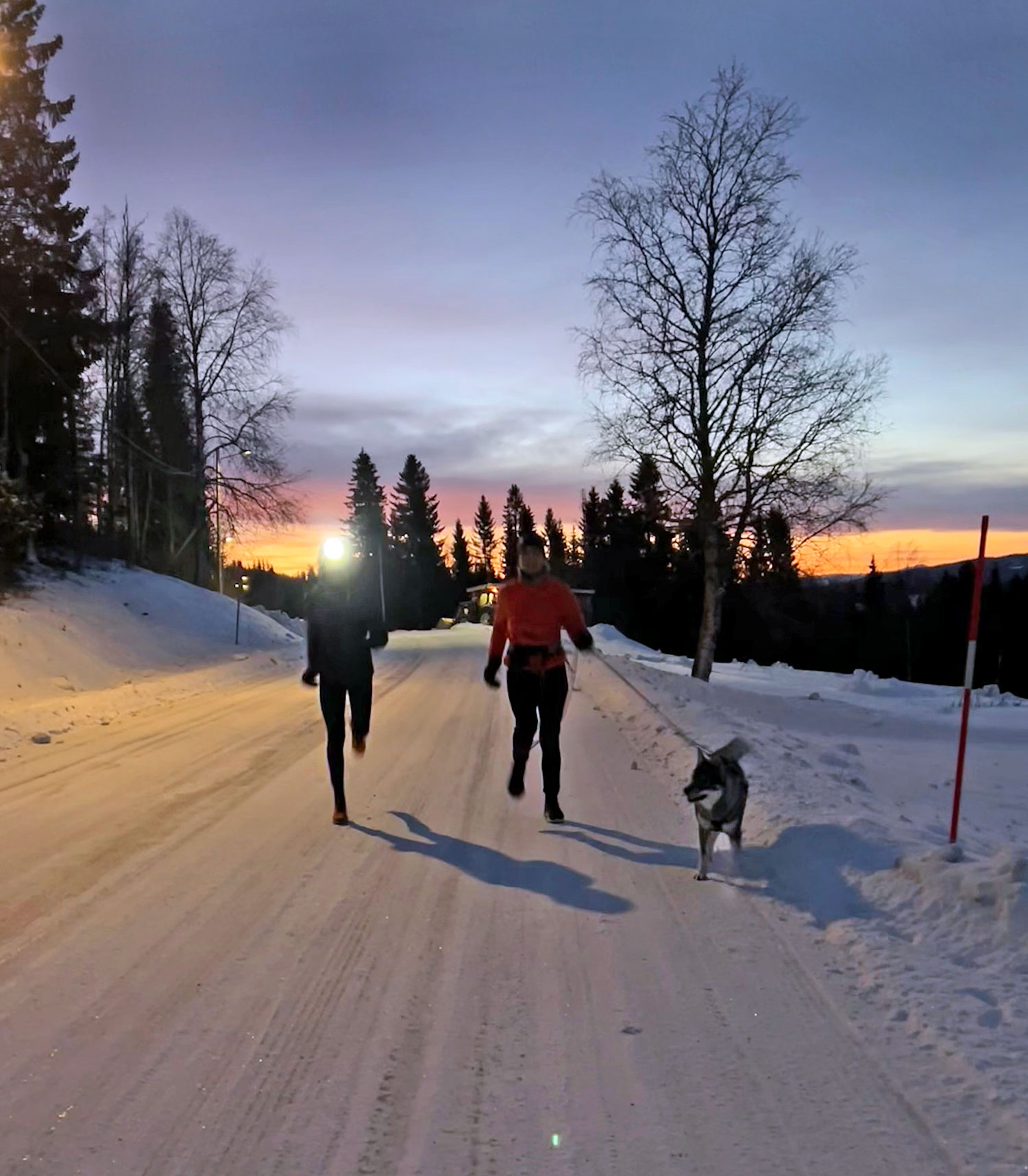 lop_annajonasson_elin_jul21 - julafton 2021