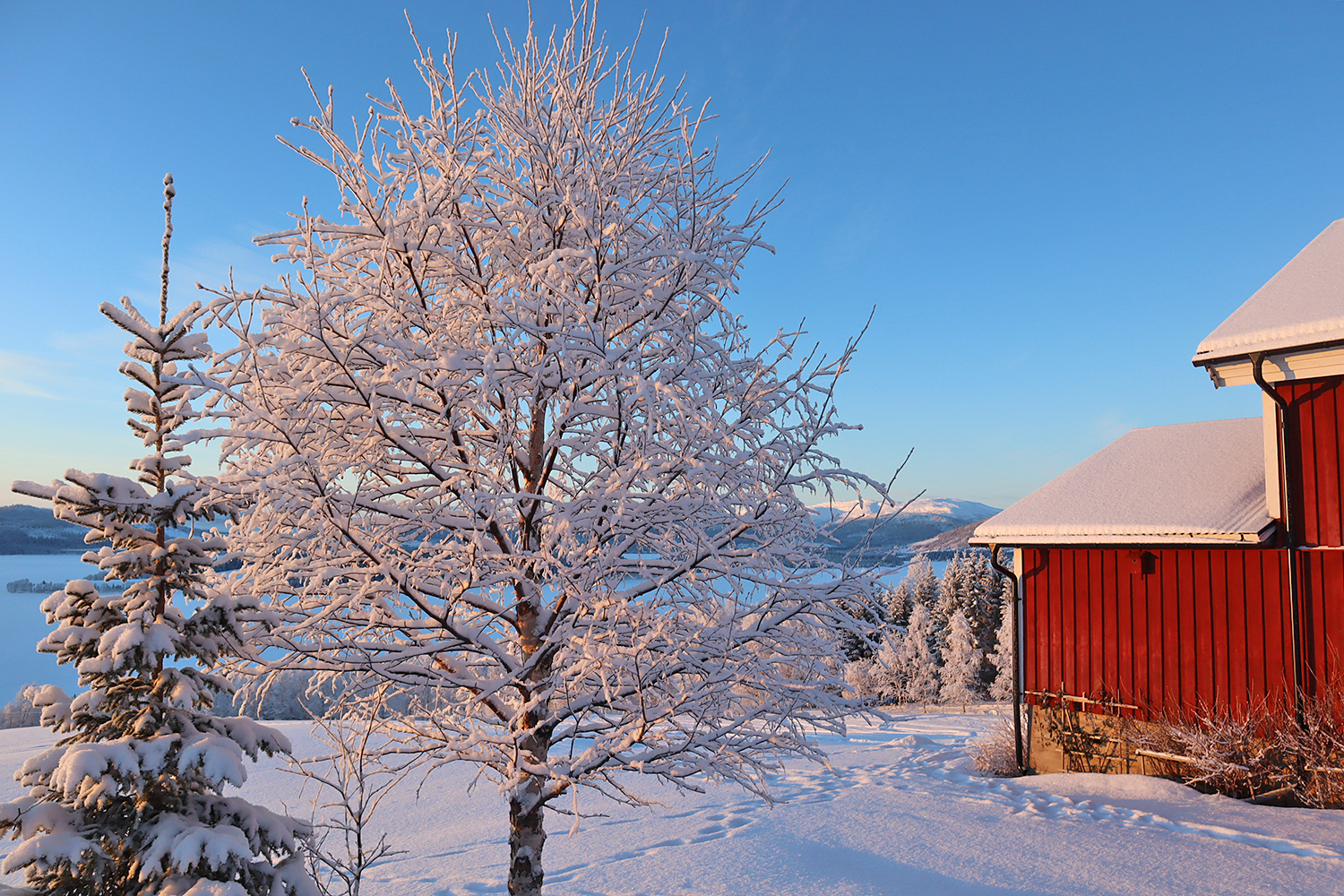 jorm__nyar21-1 - nyårsafton 2021