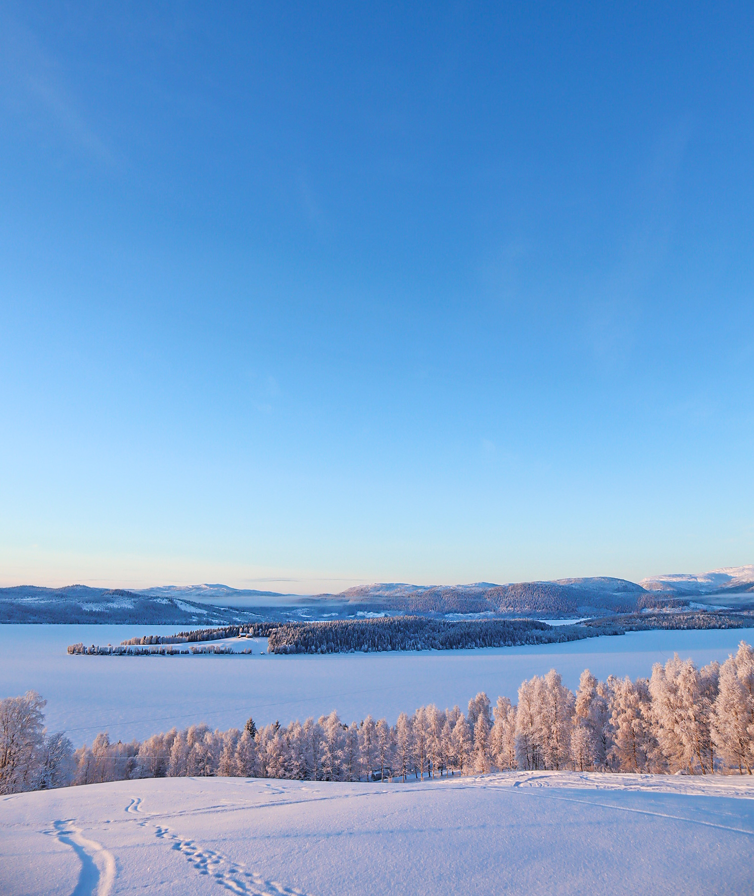 jorm_jormon__nyar21-1 - nyårsafton 2021