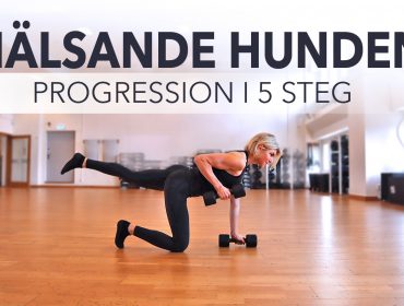 hälsande hunden
