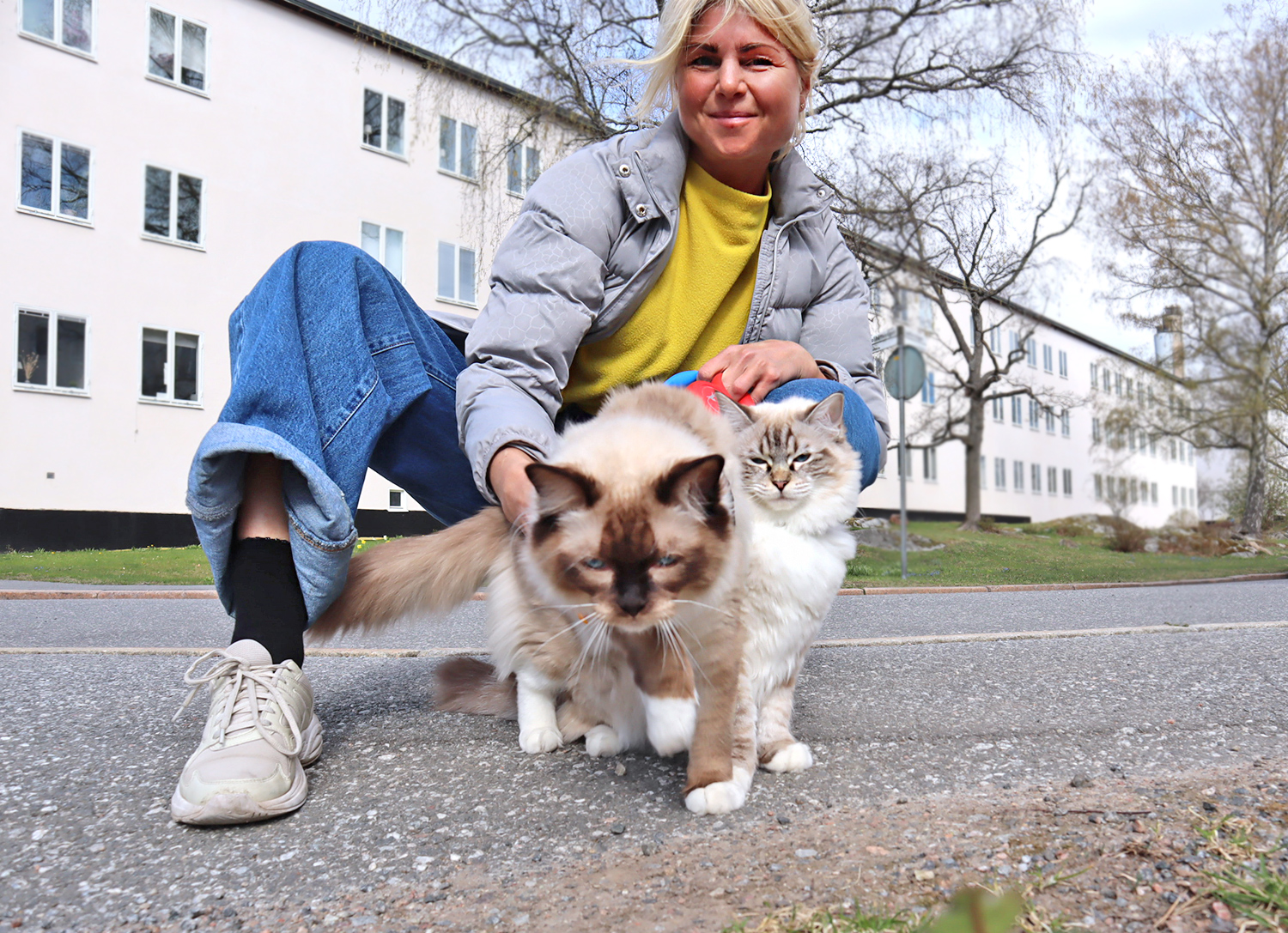 Bobbo_lo_annaj_hjort_prom - Från skidor i mjukglass till 