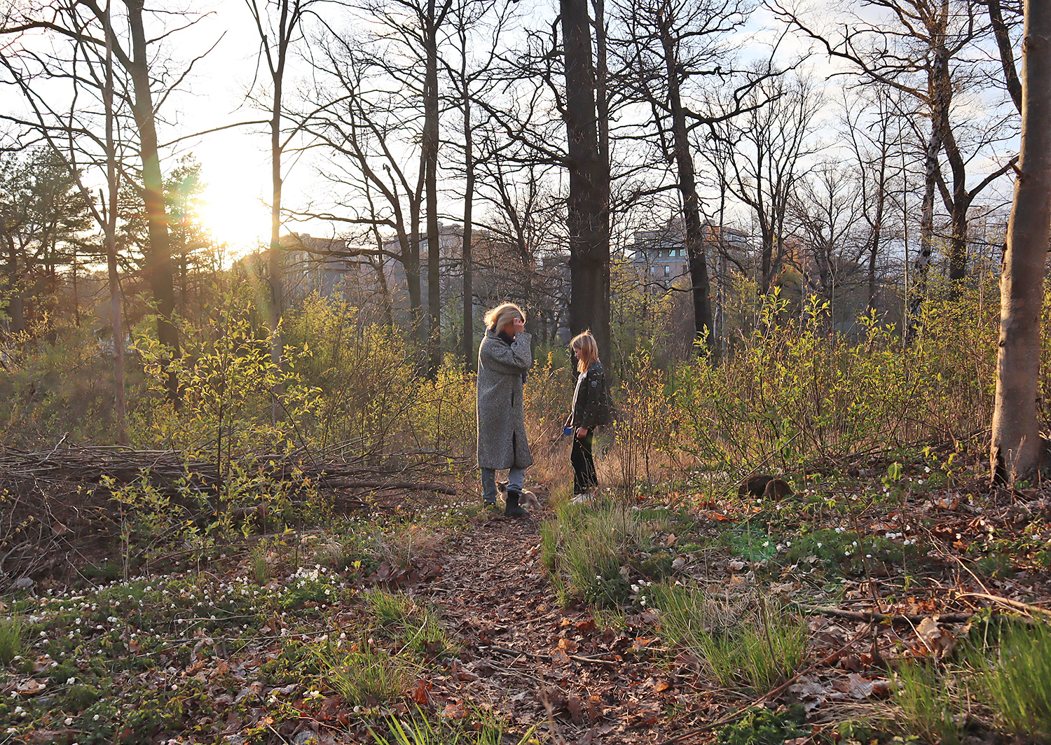 prom_jonna_annaj_skog22 - Ont av magövningar v.s. magkatarr – veckans träning och vardagsrapport #56